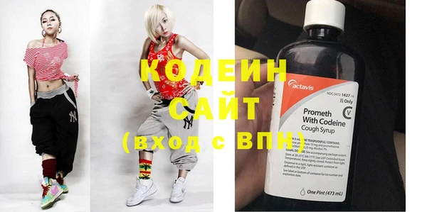 хмурый Алексин