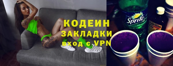 хмурый Алексин