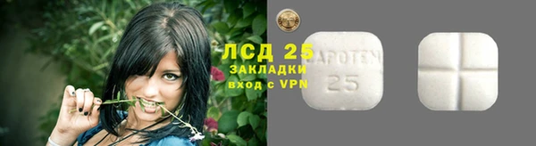 хмурый Алексин