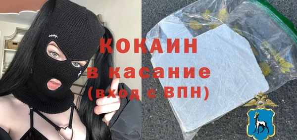 хмурый Алексин