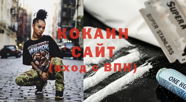 хмурый Алексин