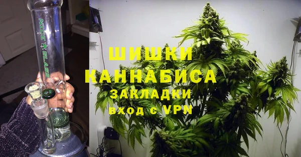 гидропоника Алзамай