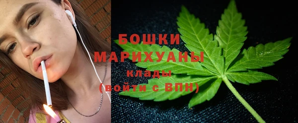 гидропоника Алзамай