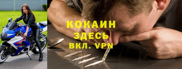 крисы Абдулино