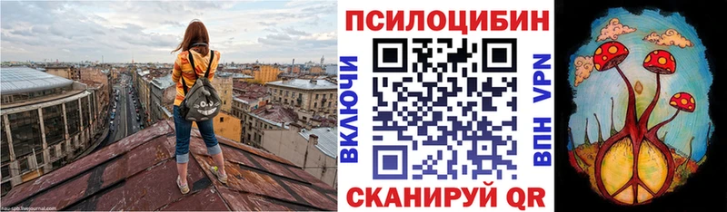 Галлюциногенные грибы GOLDEN TEACHER  купить наркоту  MEGA как войти  Константиновск 
